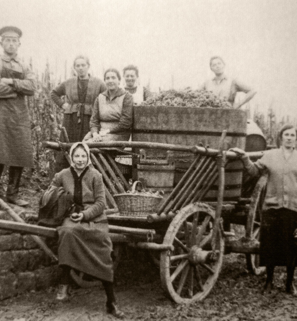 Historischer Weinbau, gemeinsame Familienarbeit mit Holzwagen