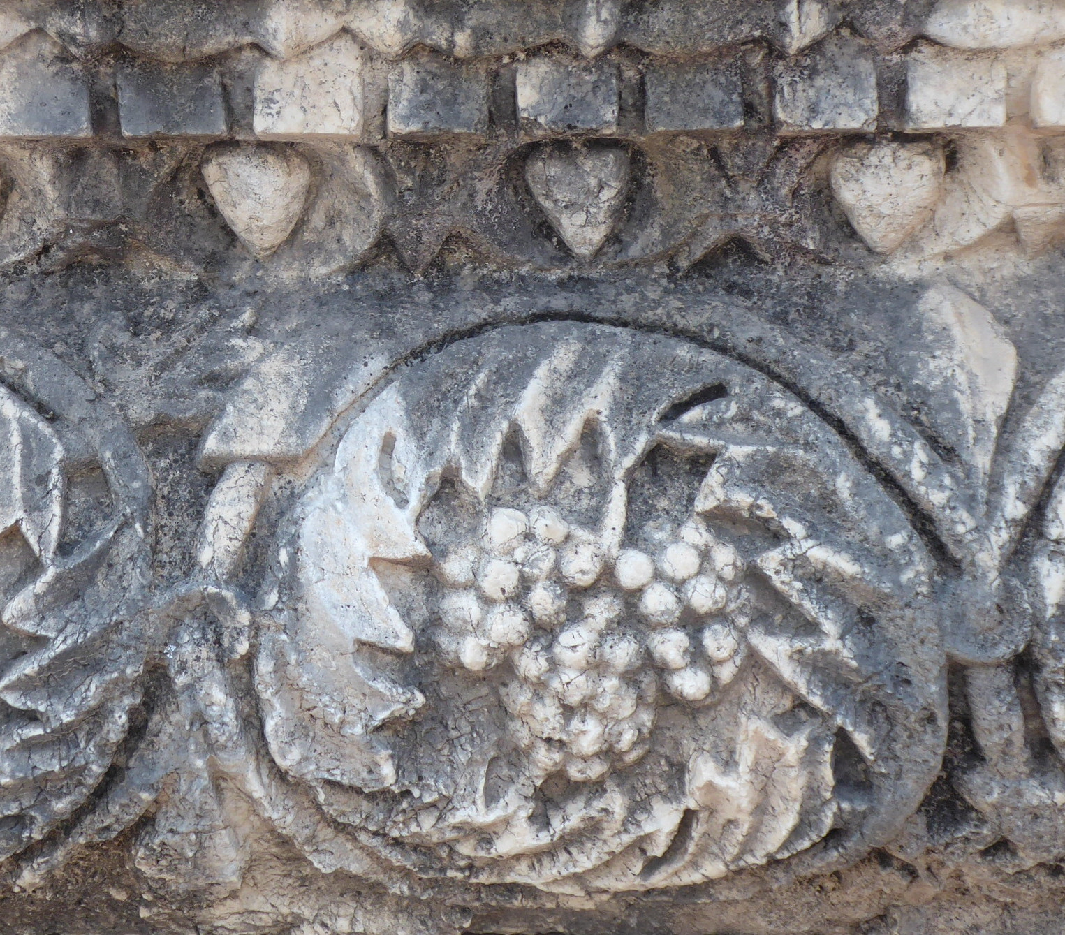 Weintraube auf historischem Stein in Kapernaum am See Genezareth