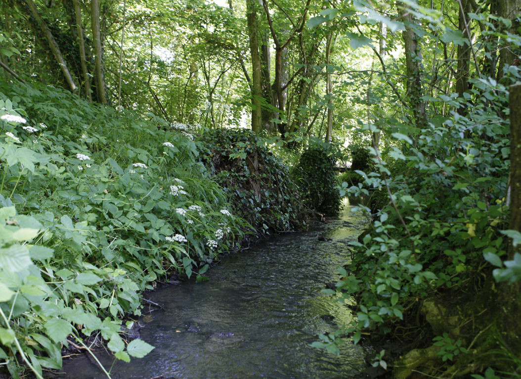 Köpfertal
